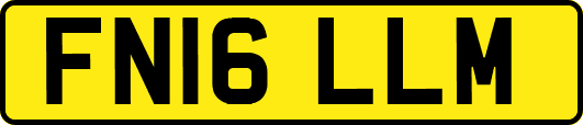 FN16LLM