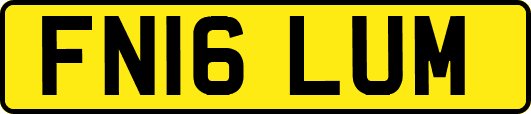 FN16LUM