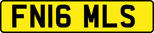 FN16MLS