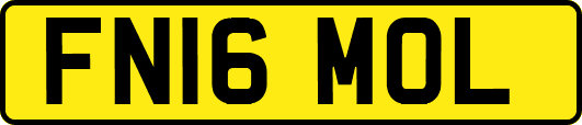 FN16MOL