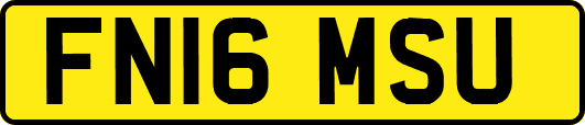 FN16MSU