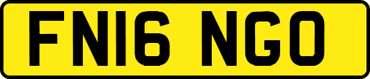 FN16NGO