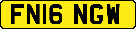 FN16NGW