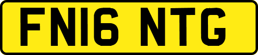 FN16NTG