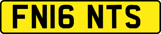 FN16NTS