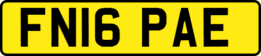 FN16PAE