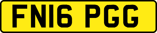 FN16PGG