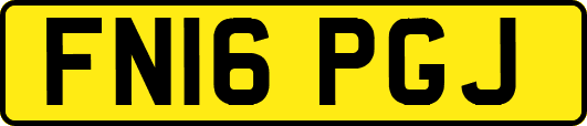 FN16PGJ