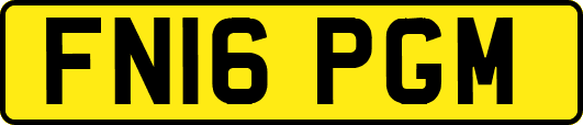 FN16PGM