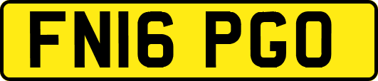 FN16PGO