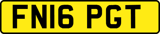 FN16PGT