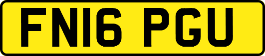 FN16PGU