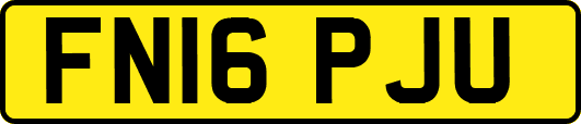 FN16PJU