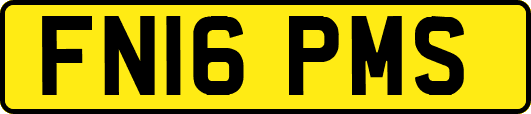 FN16PMS