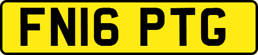 FN16PTG
