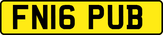 FN16PUB