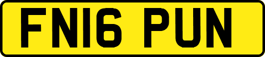 FN16PUN