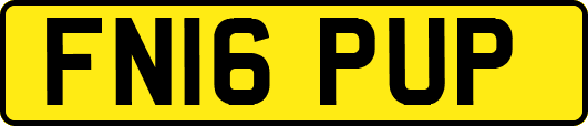 FN16PUP