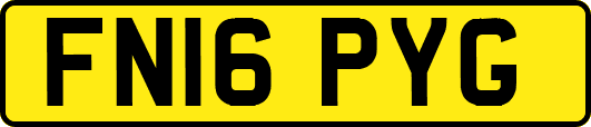 FN16PYG