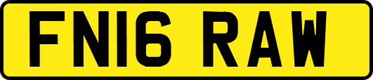 FN16RAW