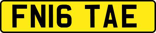 FN16TAE