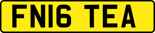 FN16TEA