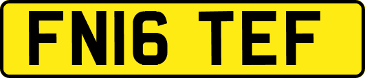 FN16TEF