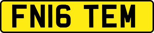 FN16TEM