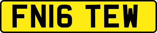FN16TEW