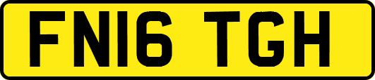 FN16TGH