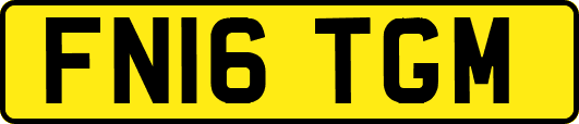 FN16TGM