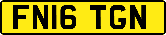 FN16TGN
