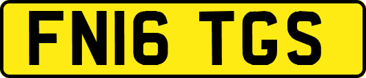 FN16TGS