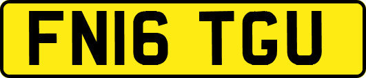 FN16TGU
