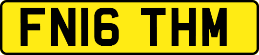 FN16THM