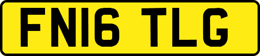 FN16TLG