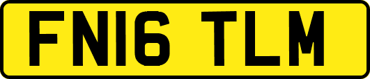 FN16TLM
