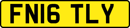 FN16TLY