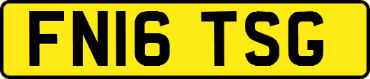 FN16TSG