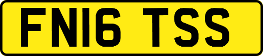 FN16TSS
