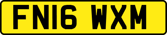 FN16WXM