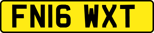 FN16WXT