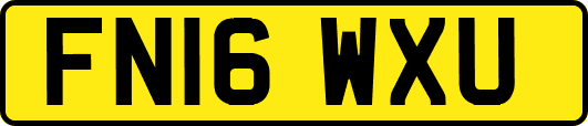 FN16WXU