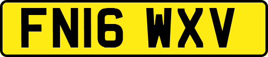 FN16WXV
