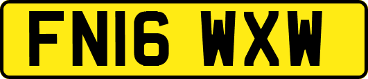 FN16WXW