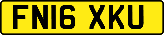 FN16XKU