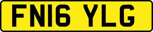 FN16YLG