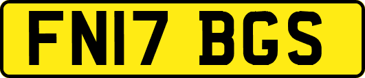 FN17BGS