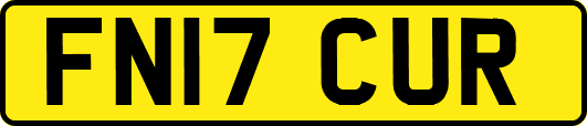 FN17CUR