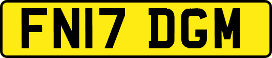FN17DGM